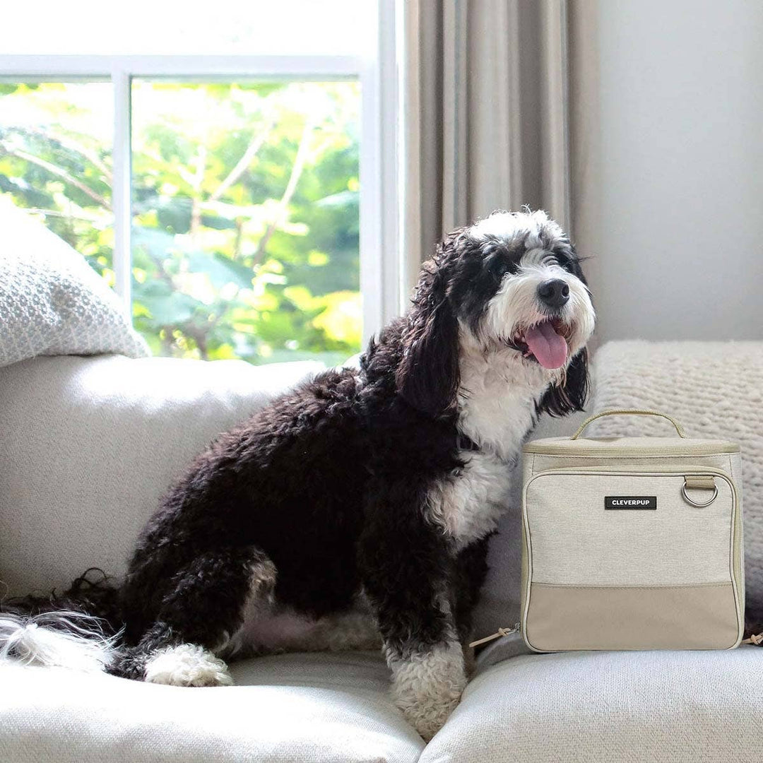 Bistro Box Dog Food Travel Kit