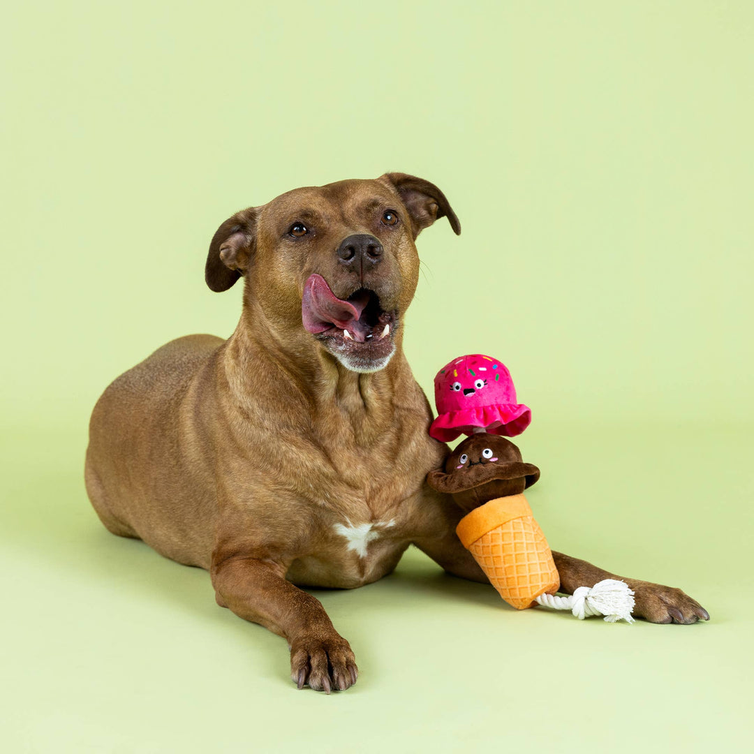 Losing Conetrol Dog Toy