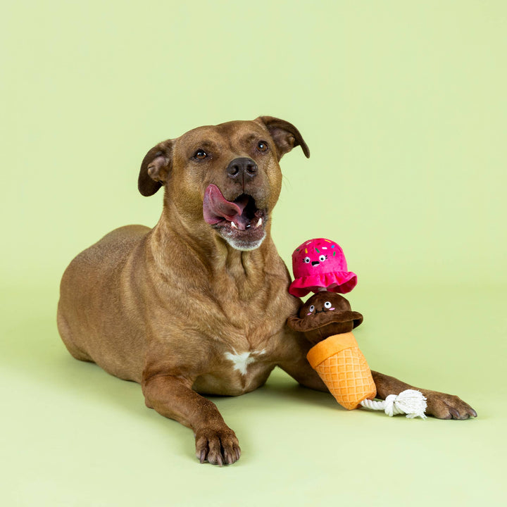 Losing Conetrol Dog Toy