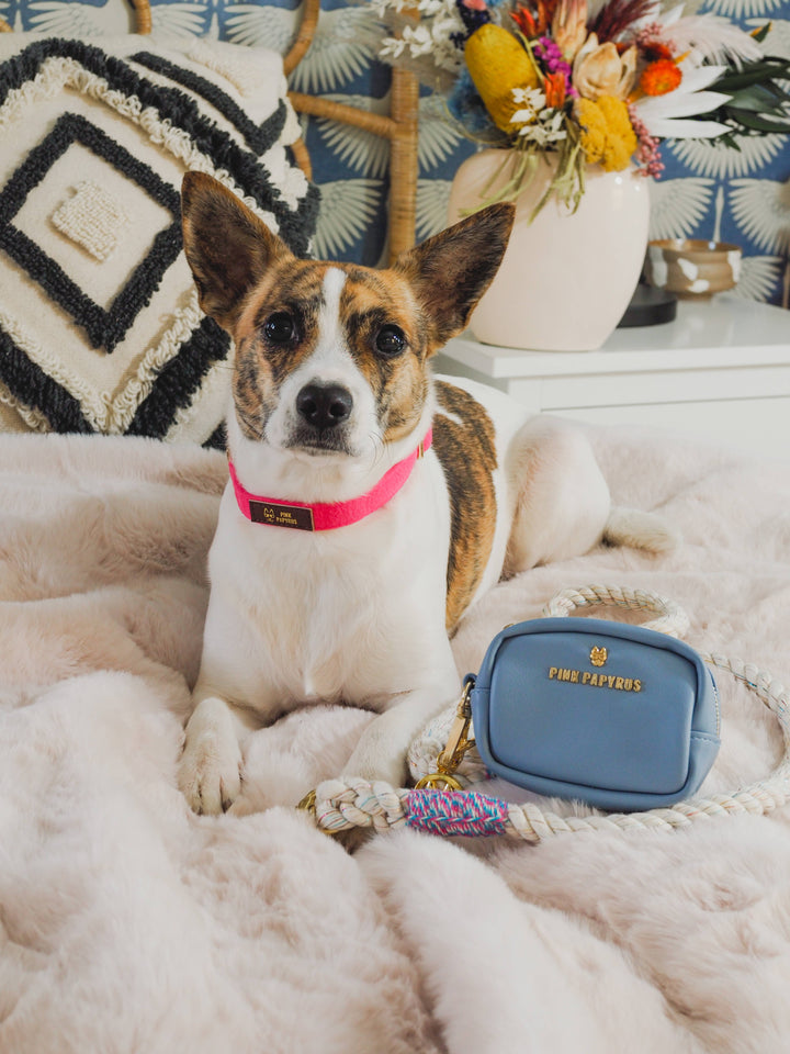 Magnolia Tinsel Rope Leash