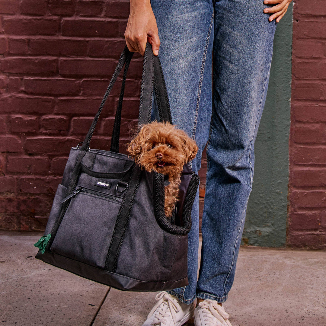 Transit Tote Dog Carrier