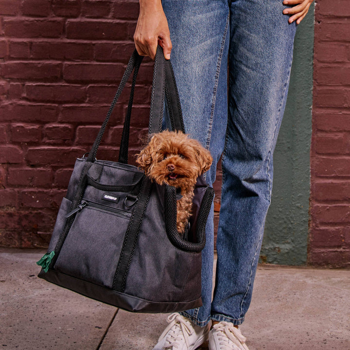 Transit Tote Dog Carrier