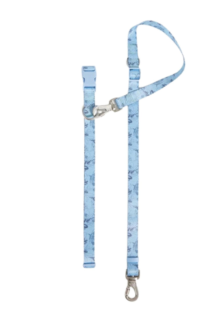 Hands-Free Leash for Dogs