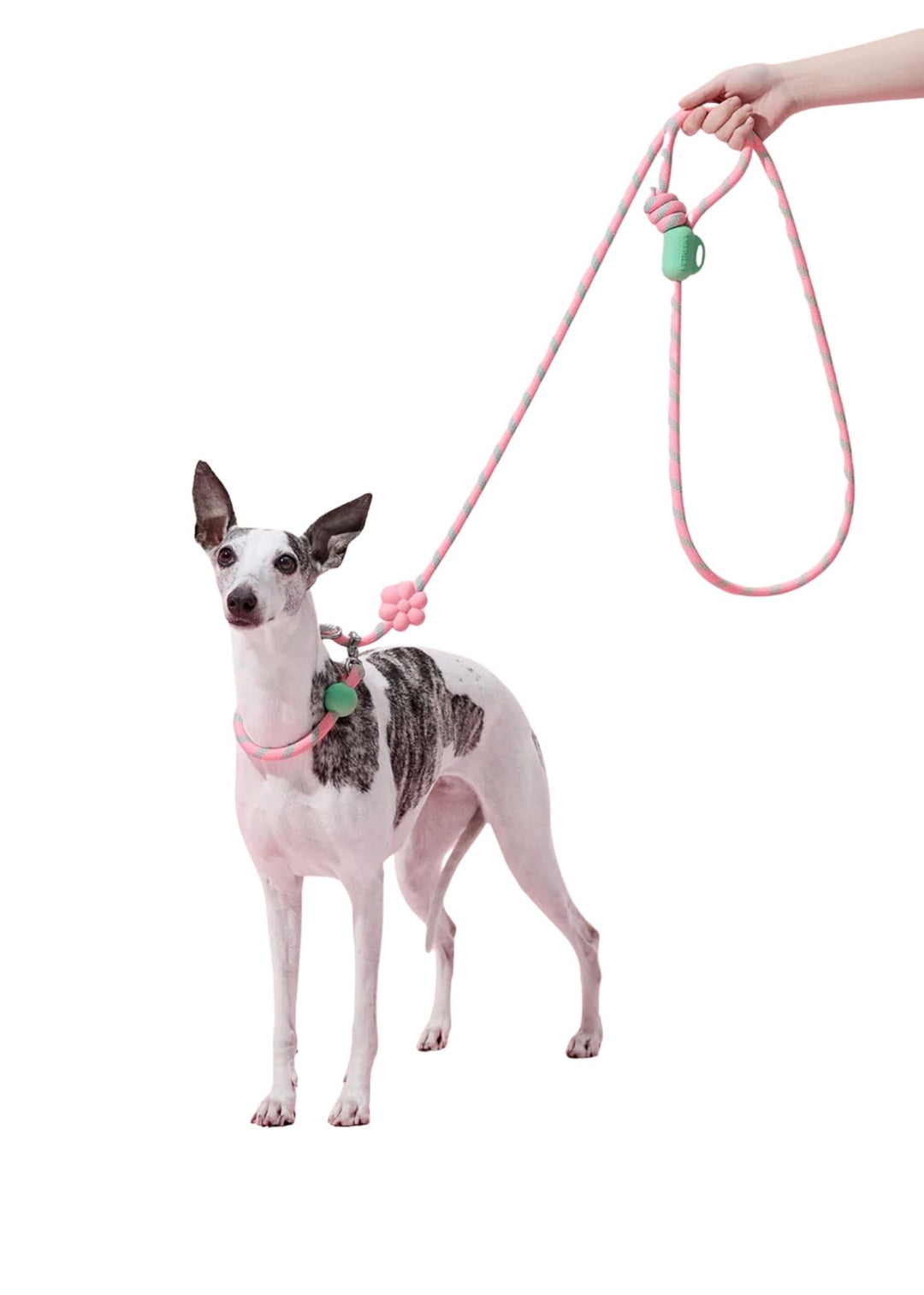 Flora Connect Hands-Free Rope Leash