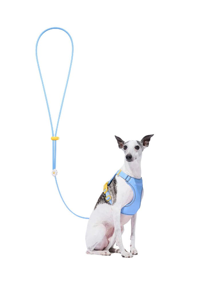 Daisy Connect Lite Rope Leash