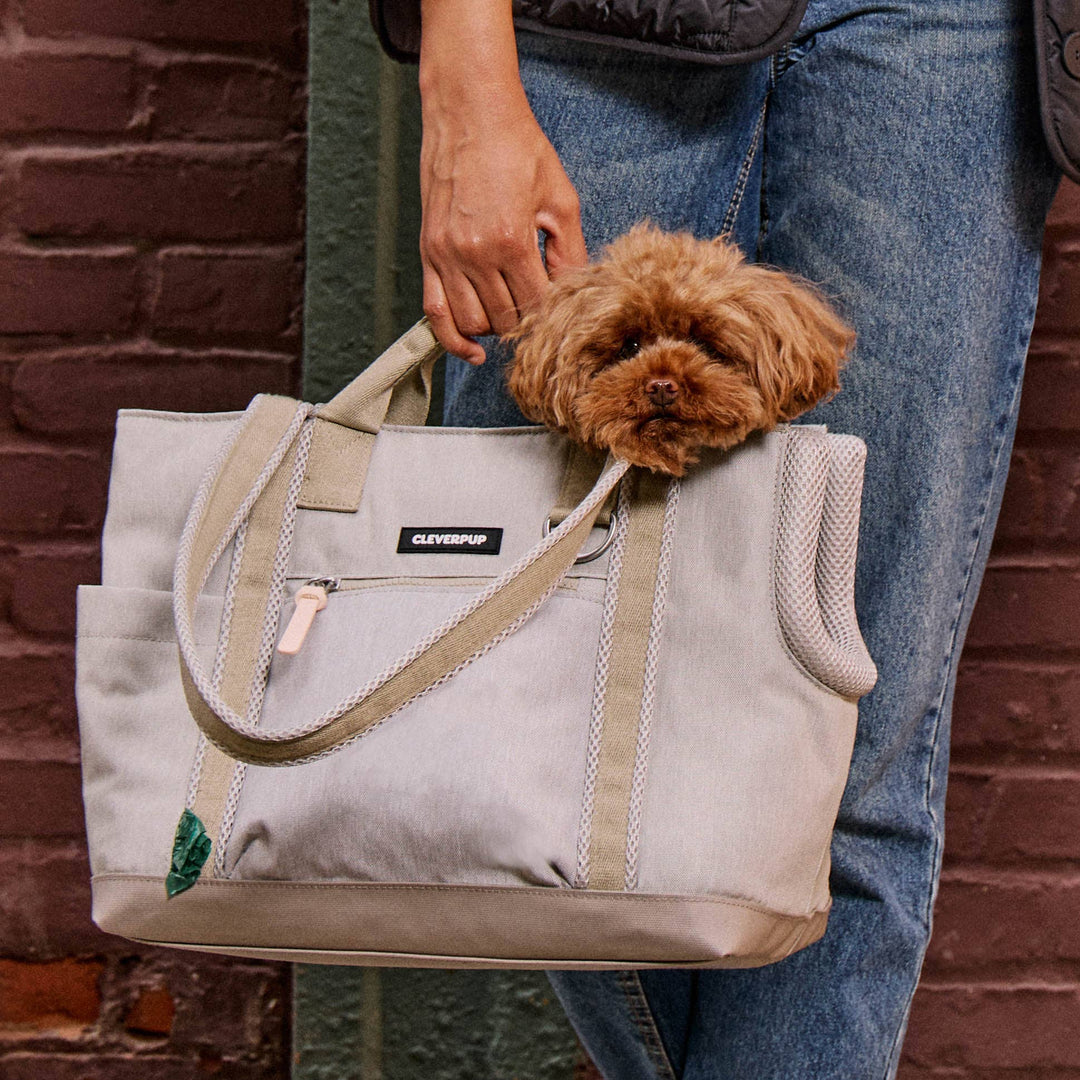 Transit Tote Dog Carrier