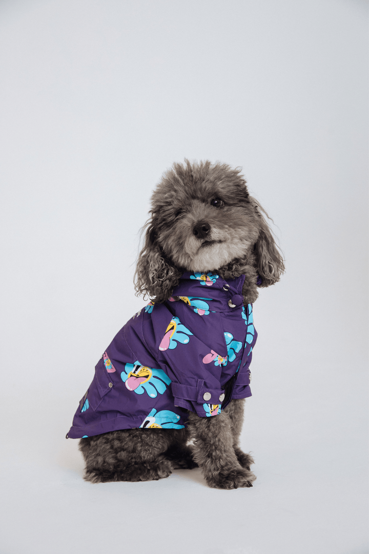 Marc Jacobs x Hattie Stewart Raincoat