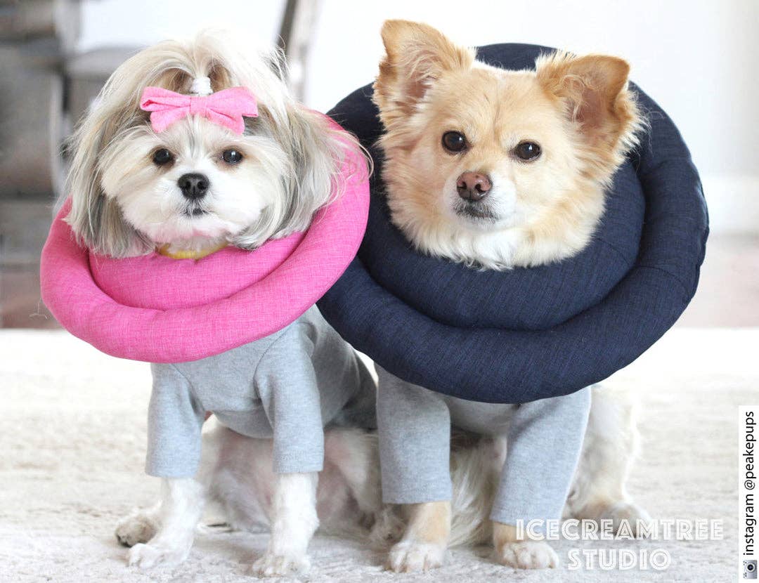 Soft Comfy Cone: Hypoallergenic, Recovery Collar