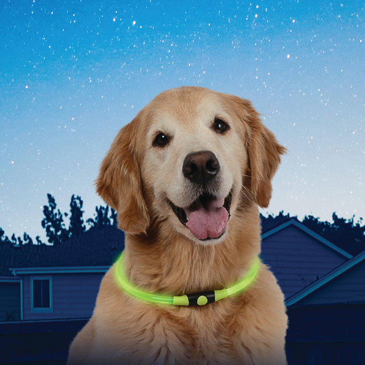 NiteHowl Rechargeable LED Safety Necklace Green