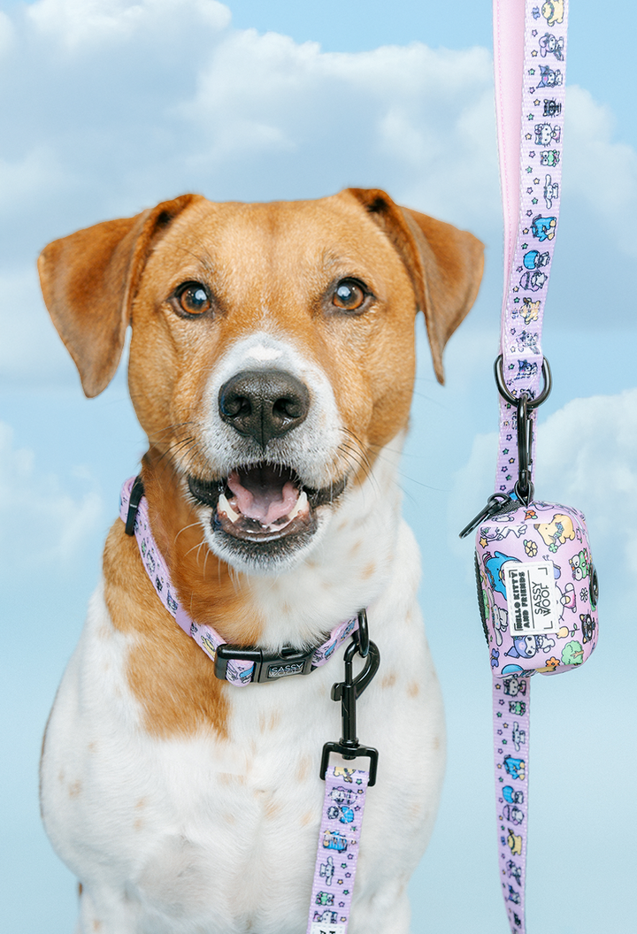 Hello Kitty® &amp; Friends Flower Festival Collar