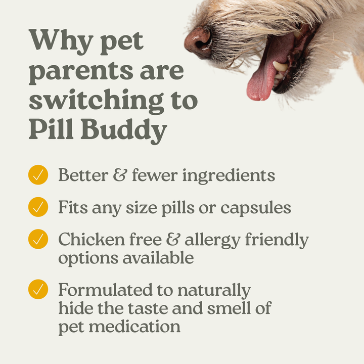 Pill Buddy Naturals Peanut Butter &amp; Apple 30ct