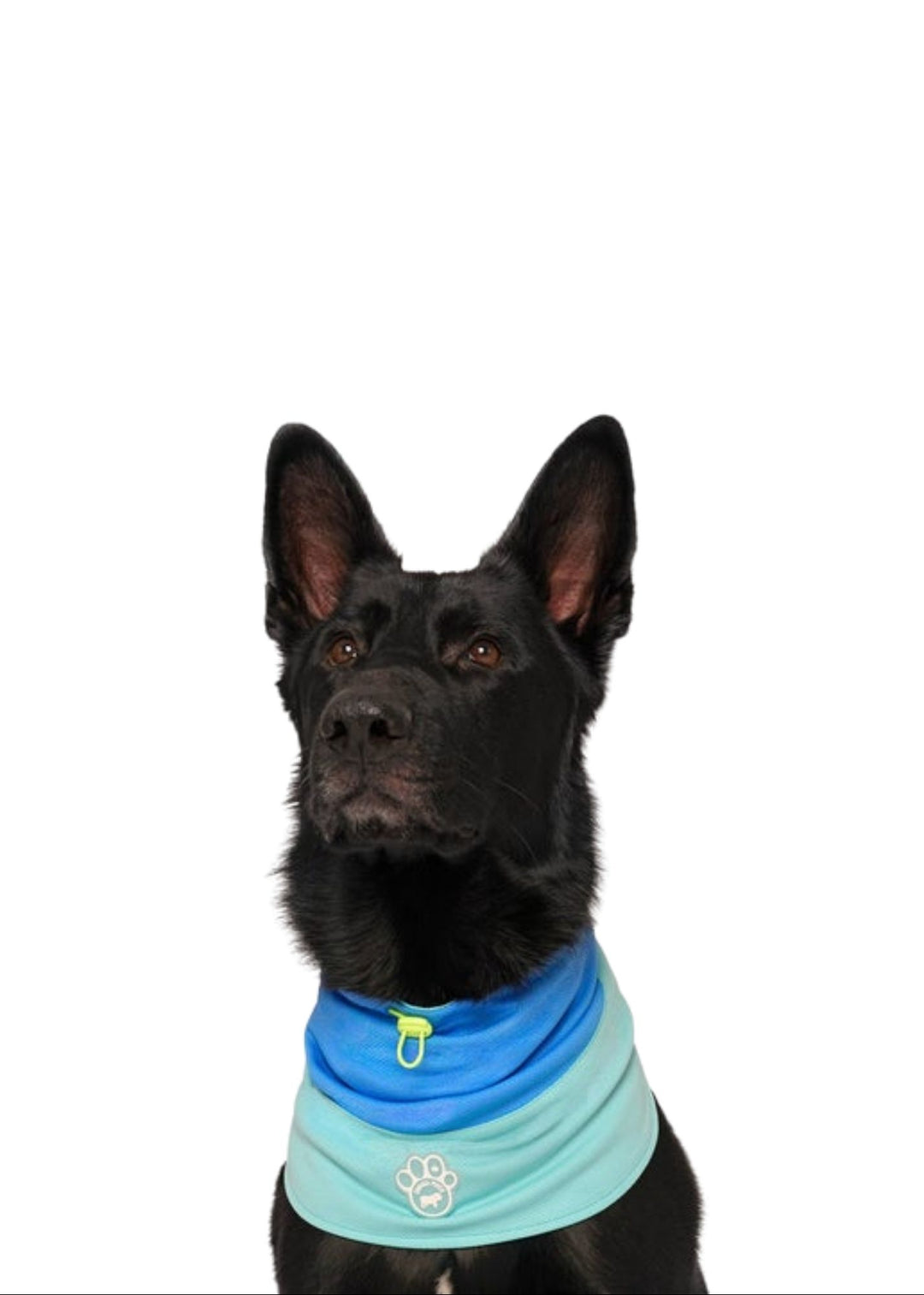 Max Chill Cooling Snood