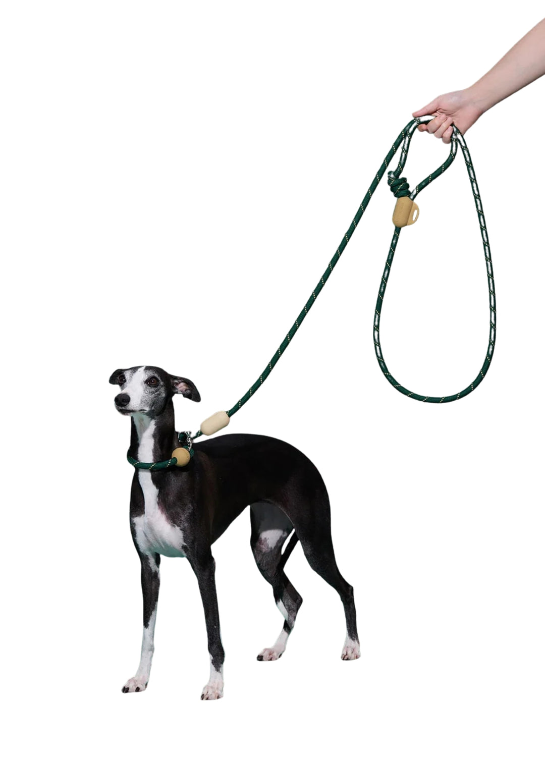 Santal Forest Connect Hands-Free Rope Leash