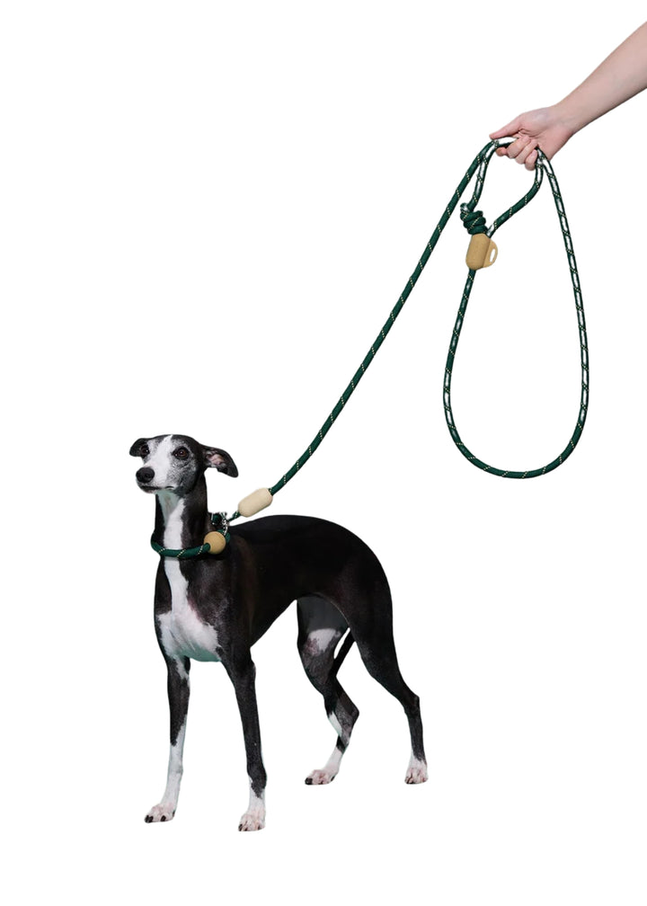 Santal Forest Connect Hands-Free Rope Leash