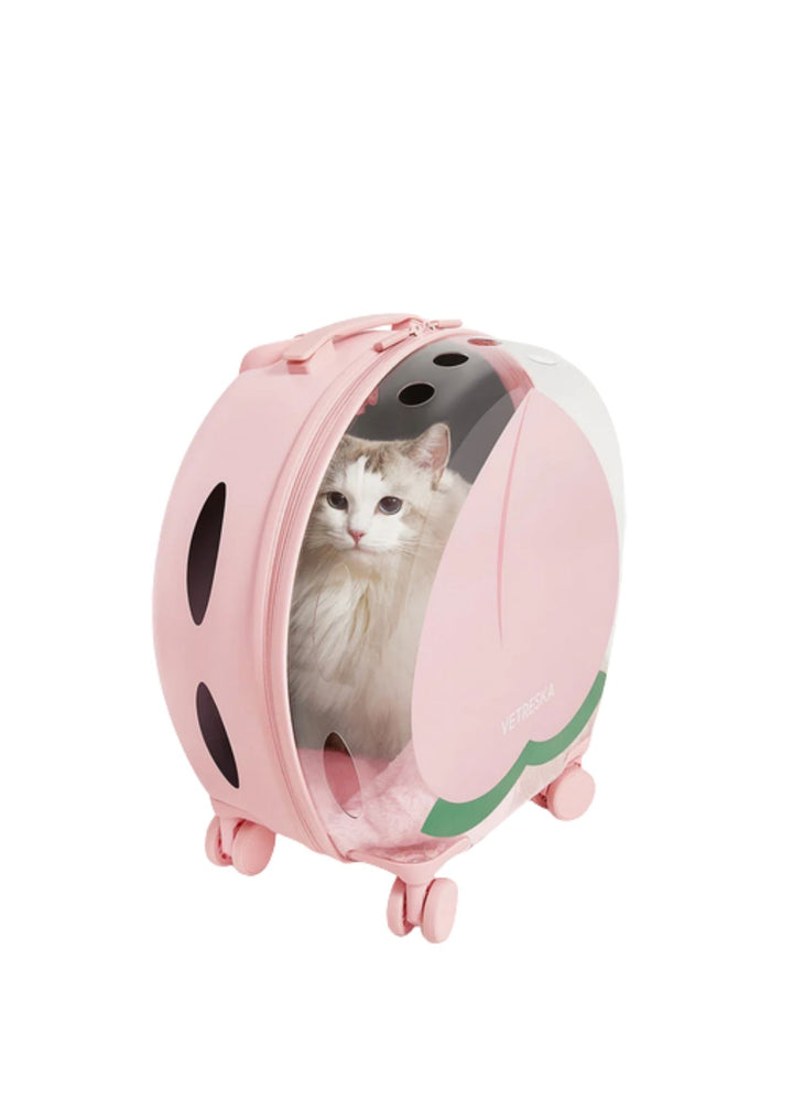 Bubble Pink Color Block Pet Carrier