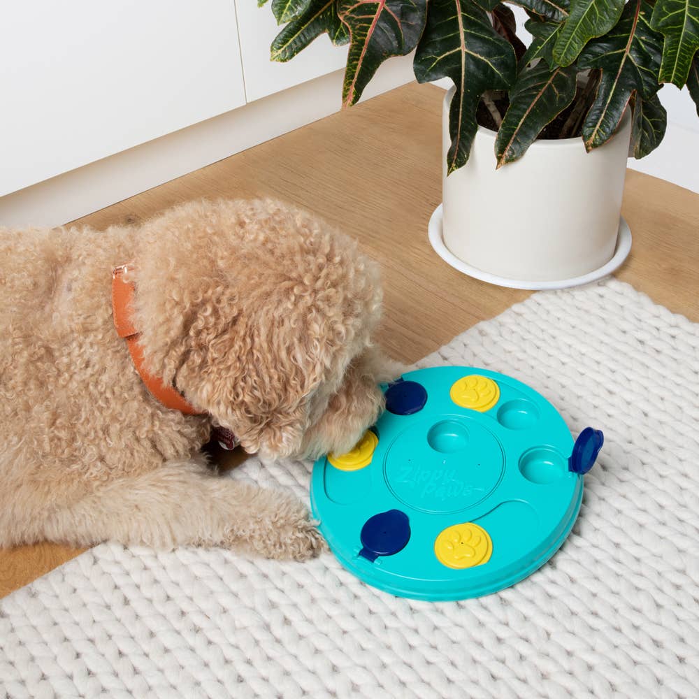 SmartyPaws Puzzler Dog Toy