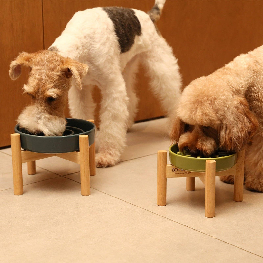 Spark Slow Feeder Dog Bowls - Red / Green