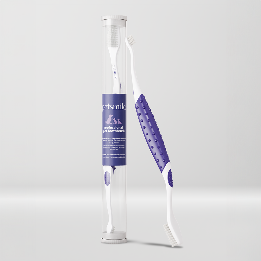 Pet Toothbrush