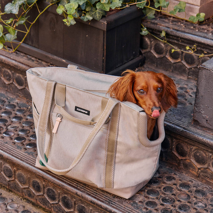 Transit Tote Dog Carrier
