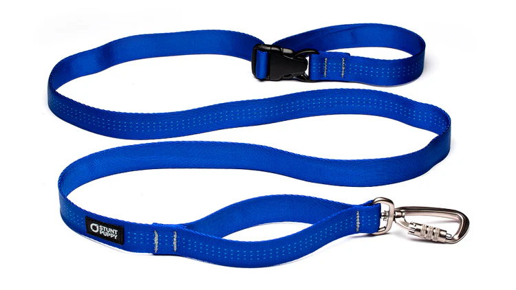 Everyday Leash Blue / Regular