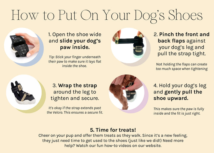 Paws by Kai Black Shoes