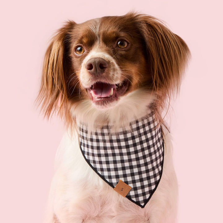 Spooky Season Reversible Dog Bandana