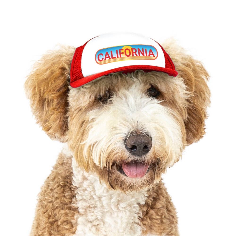 Pasadena Sunset Trucker Hat for Dogs