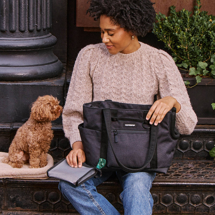 Transit Tote Dog Carrier