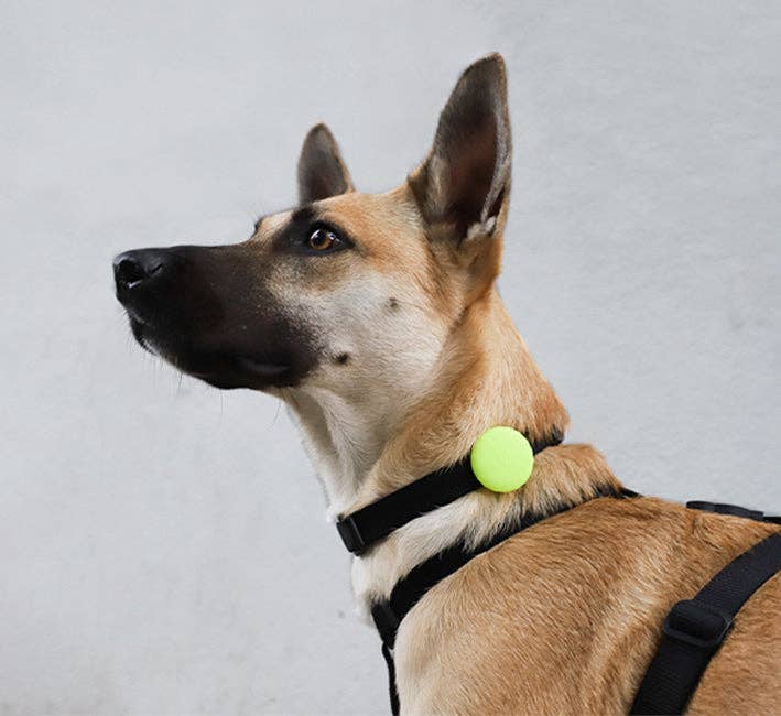 Lime AirTag Holder