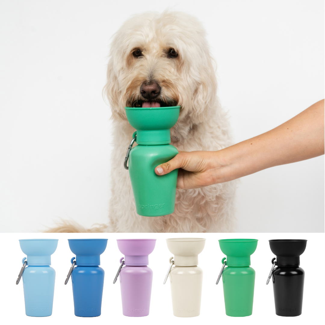 Dog Travel Water Bottle - 20oz Flip