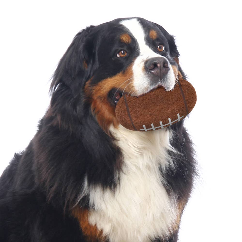 NCAA USC Trojans Tough Chewer Pet Ball