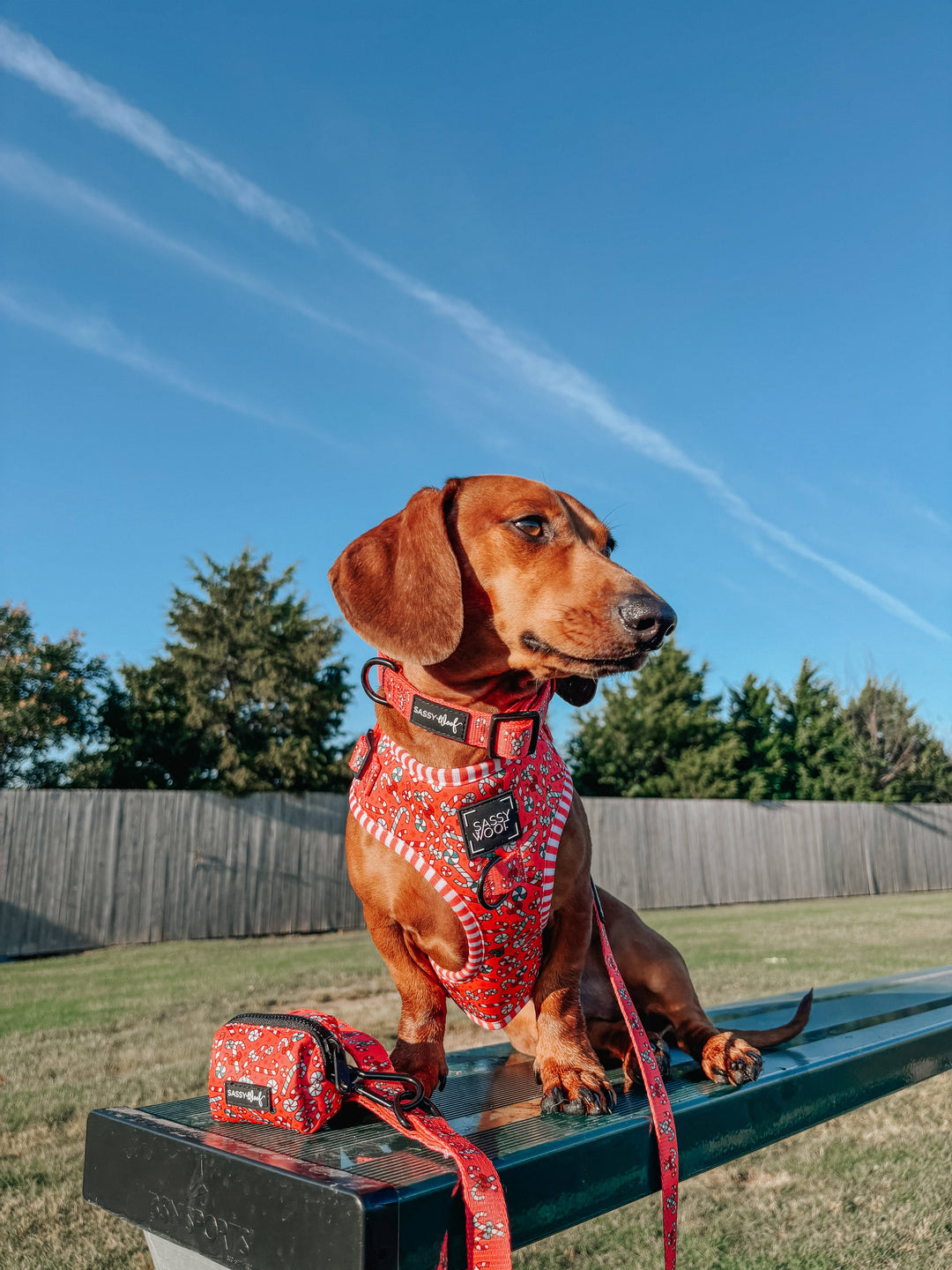 Dog Waste Bag Holder Puppermint Twist