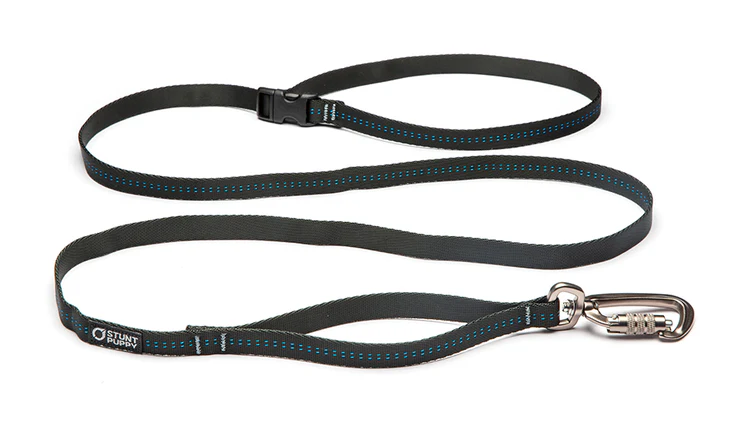 Everyday Leash Black / Small
