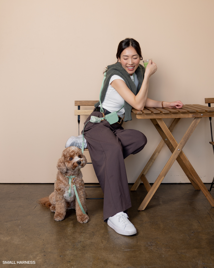 Pistachio Green Snap Dog Treat Pouch