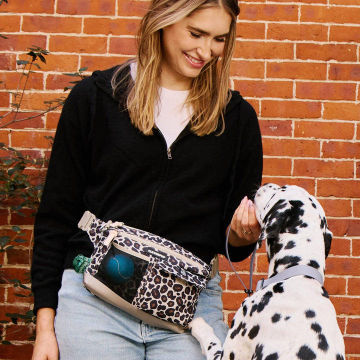 Dog Walk &amp; Train Sling Bag