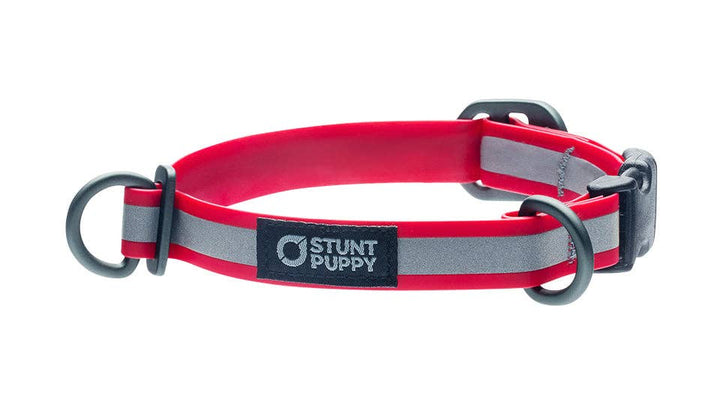 Collar Go Dog Glo Dry