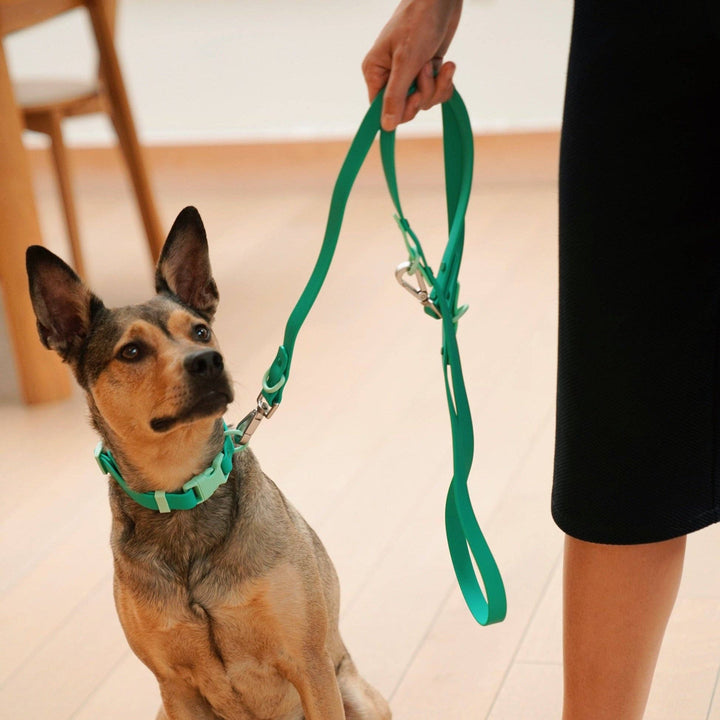 USA - The Fritz Dog Leash | Leash wit Handle | Multi Dog Leash