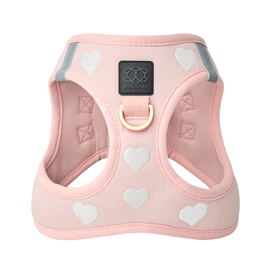 SoHo Dog Harness Hearts