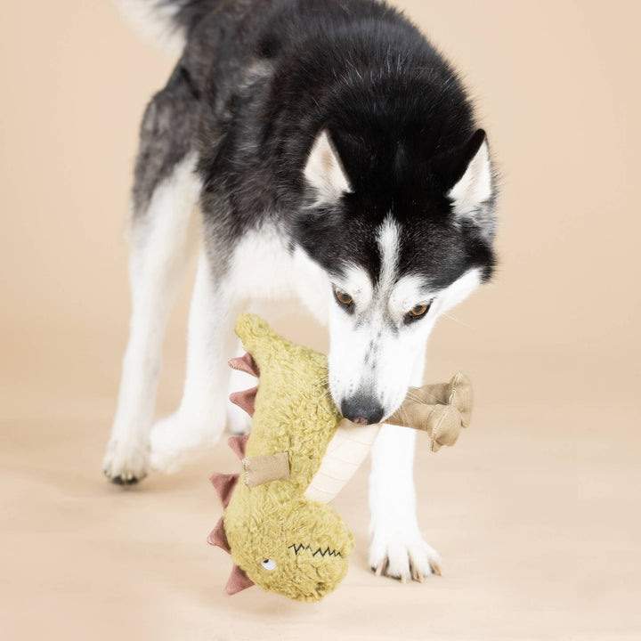 Small Arm, Big Heart Earth Friendly Dog Toy