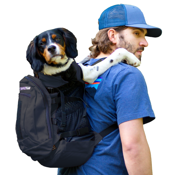 Plus 2 | Dog Carrier with Removable Storage