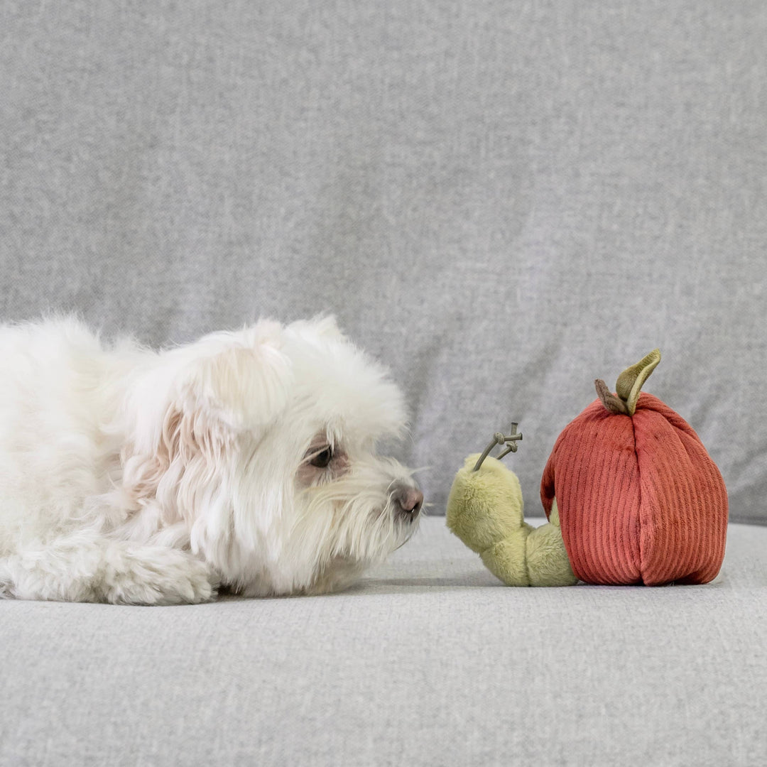 Fruit Set Enrichment Snuffle Toy Set