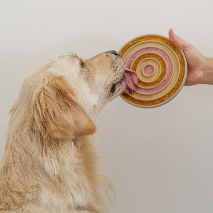 3-in-1 Bento Lick Mat + Slow Feeder