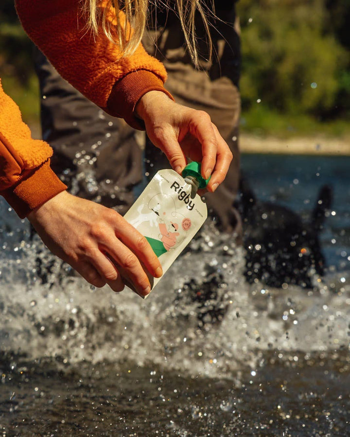 Organic Salmon Squeeze Pouch for Dogs