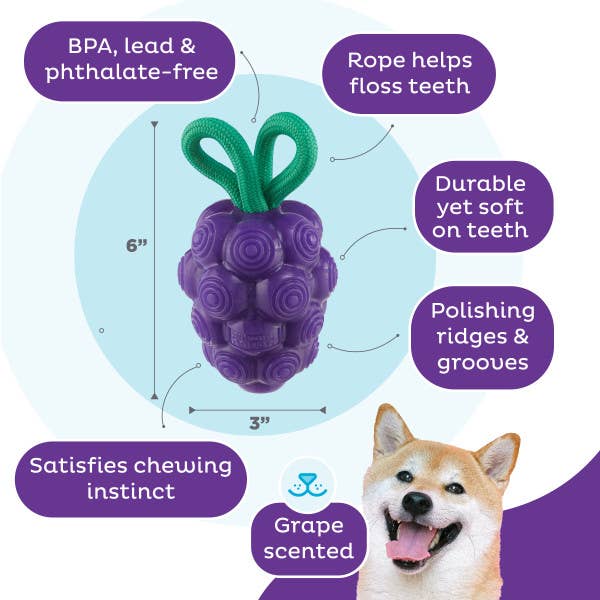 Dental Grapes Dog Chew Toy Purple, Medium