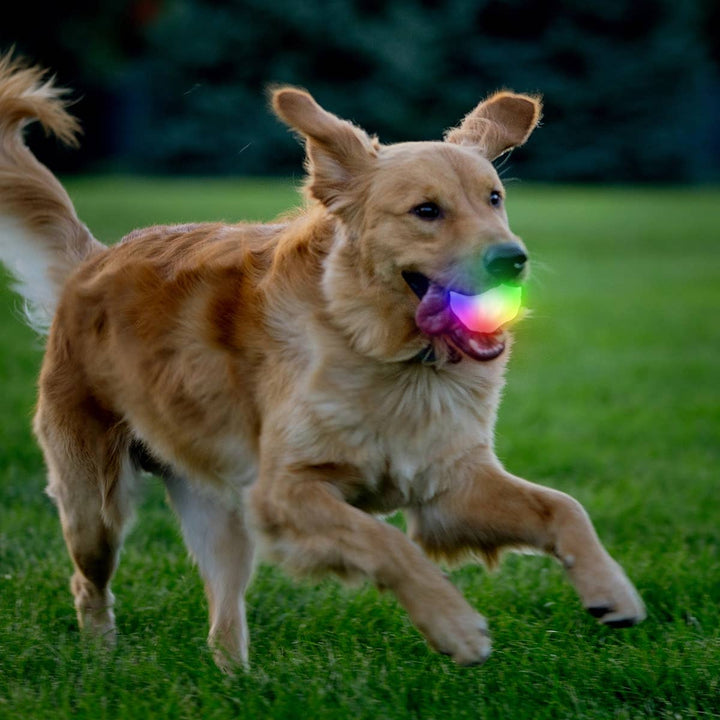 GlowStreak® Wild™ LED Ball - Disc-O