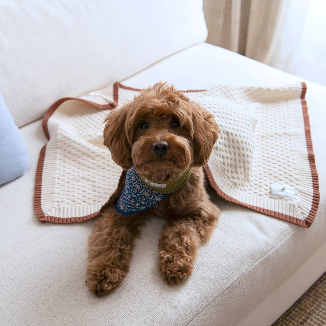Cory Organic Cotton Pet Blanket – Lightweight Hypoallergenic