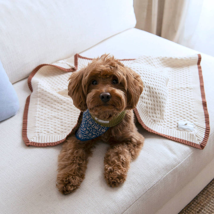 Cory Organic Cotton Pet Blanket – Lightweight Hypoallergenic