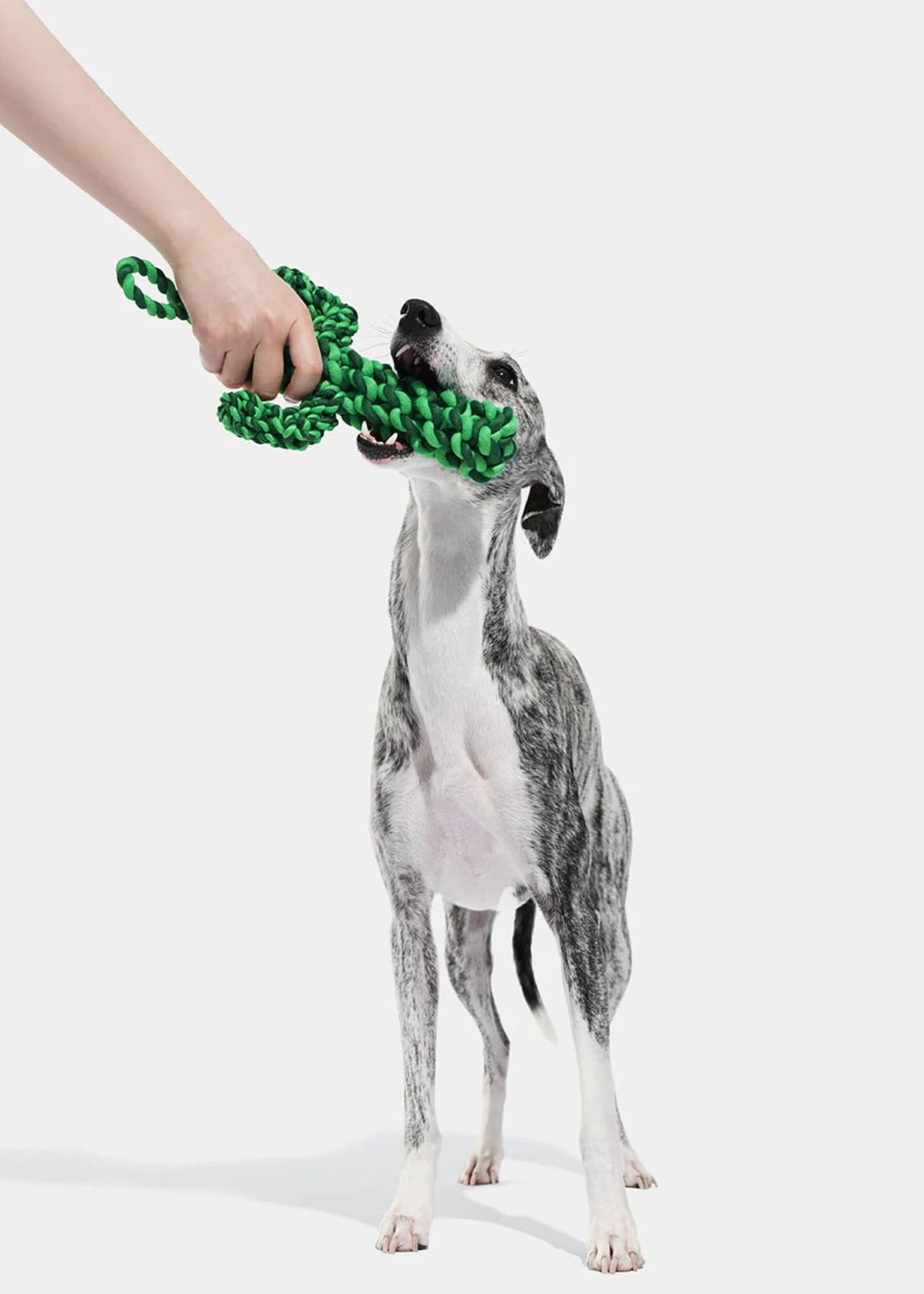 Oasis Cactus Knot Rope Toy