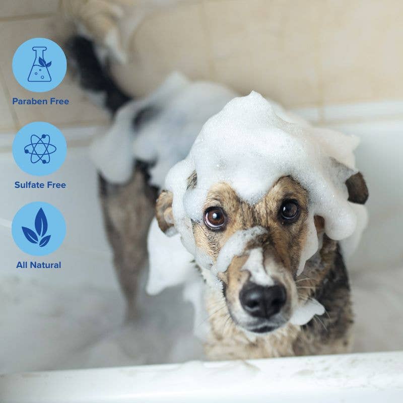 Shampoo Bar
