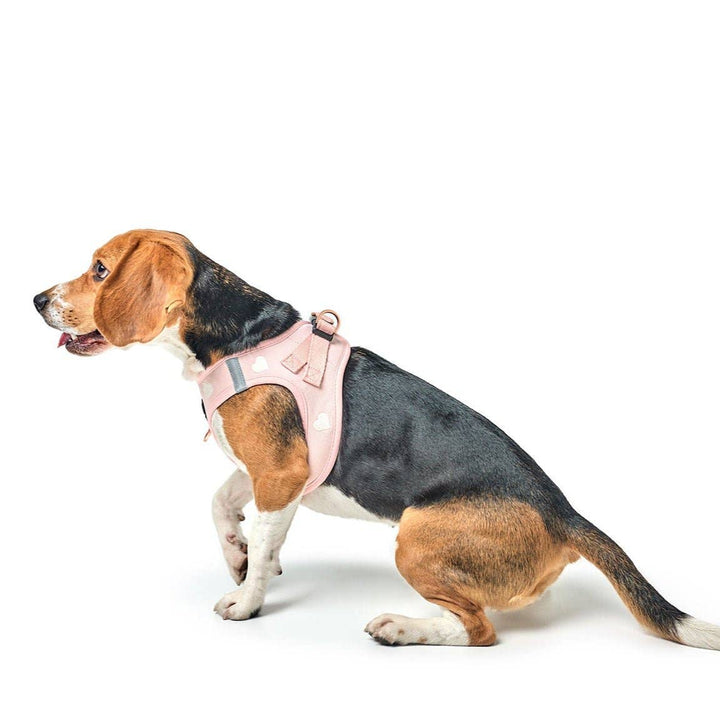 SoHo Dog Harness Hearts